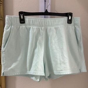 The North Face Light Blue teal Shorts large